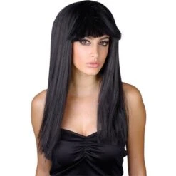 Long Black Fringed Wig EW-8010
