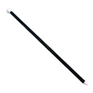 Black Parade Cane 1 Black Parade Cane