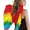 Angel Wings Rainbow 50cmx50cm 52833