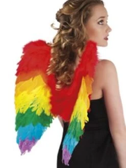 Angel Wings Rainbow 50cmx50cm 52833