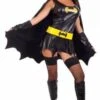 Bat Lady Costume 69006