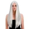 Classic Long Silver Wig Wicked EW-8003