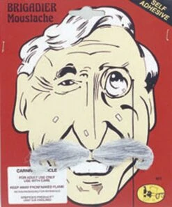 Brigadier Moustache