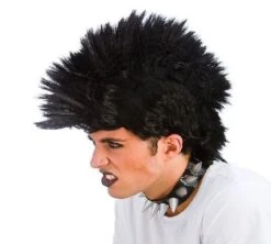 Punk Rocker Wig EW-8028