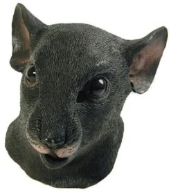Rat Animal Mask BM365