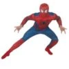 Spiderman 2 Deluxe Costume 887531