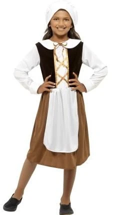 Tudor Girl Costume 44015