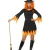 Witch Costume 30881