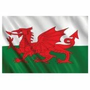 Wales Welsh Flag 5ft X 3ft Rugby Football