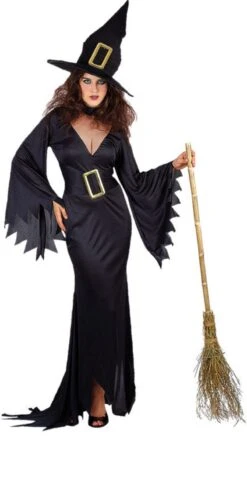 Wicked Witch Costume Wicked